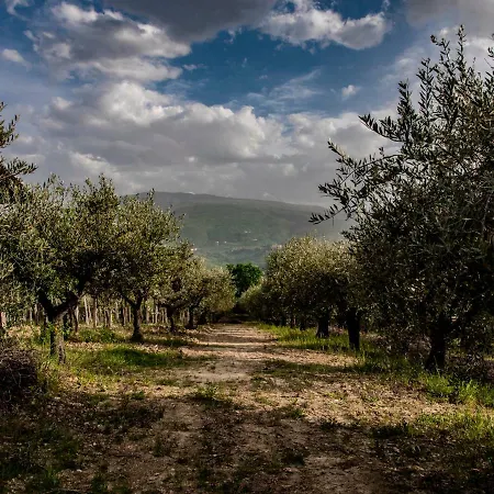 Country House Casale Centurione בית חווה Manoppello
