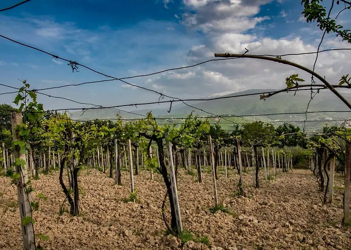 Country House Casale Centurione בית חווה