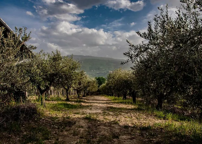 Country House Casale Centurione בית חווה Manoppello